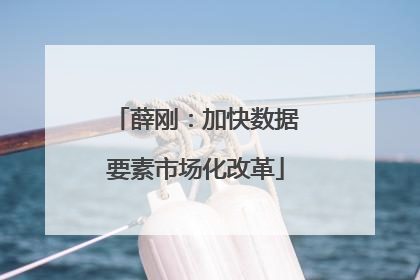 薛刚：加快数据要素市场化改革