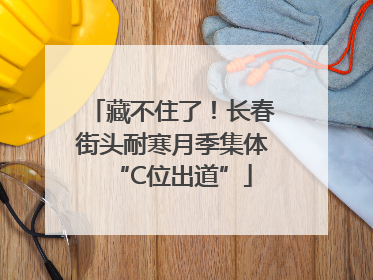 藏不住了！长春街头耐寒月季集体“C位出道”