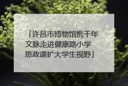 许昌市博物馆携千年文脉走进健康路小学 思政课扩大学生视野