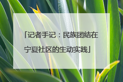 记者手记：民族团结在宁夏社区的生动实践