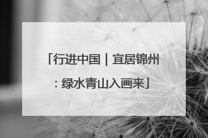 行进中国｜宜居锦州：绿水青山入画来
