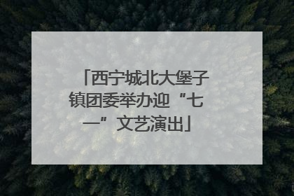西宁城北大堡子镇团委举办迎“七一”文艺演出