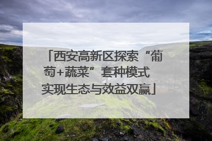 西安高新区探索“葡萄+蔬菜”套种模式 实现生态与效益双赢