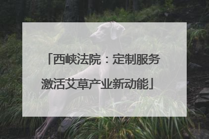 西峡法院：定制服务激活艾草产业新动能