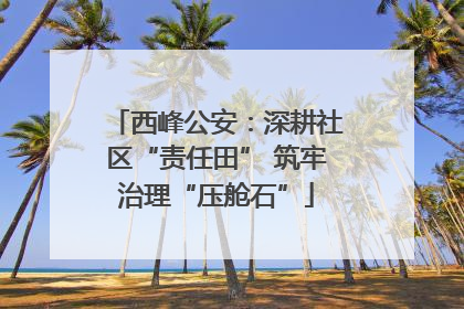 西峰公安：深耕社区“责任田” 筑牢治理“压舱石”