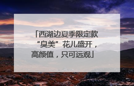 西湖边夏季限定款“臭美”花儿盛开，高颜值，只可远观
