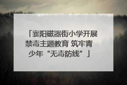 襄阳磁器街小学开展禁毒主题教育 筑牢青少年“无毒防线”