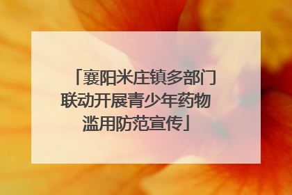 襄阳米庄镇多部门联动开展青少年药物滥用防范宣传