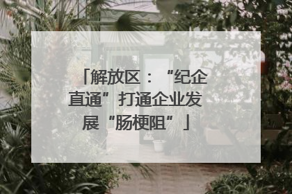 解放区：“纪企直通”打通企业发展“肠梗阻”