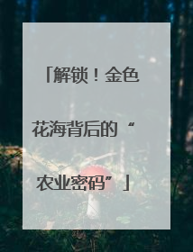 解锁！金色花海背后的“农业密码”