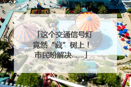 这个交通信号灯竟然“藏”树上！市民盼解决……