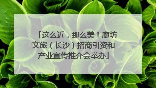 这么近，那么美！廊坊文旅（长沙）招商引资和产业宣传推介会举办