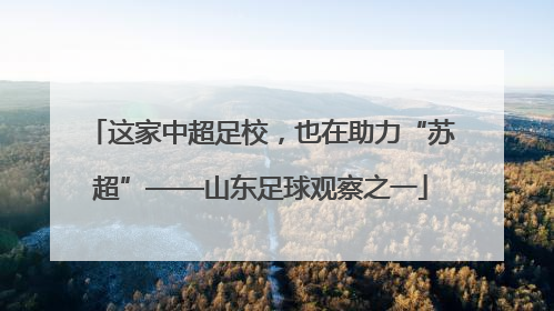 这家中超足校，也在助力“苏超”——山东足球观察之一
