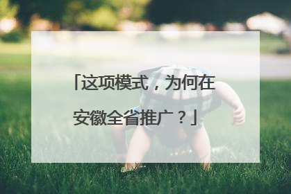 这项模式，为何在安徽全省推广？