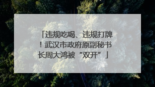 违规吃喝、违规打牌！武汉市政府原副秘书长周大鸿被“双开”