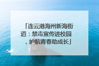 连云港海州新海街道：禁毒宣传进校园，护航青春助成长