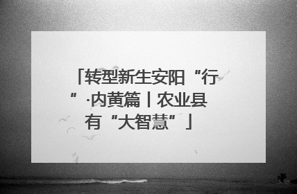 转型新生安阳“行”·内黄篇丨农业县有“大智慧”
