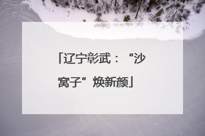 辽宁彰武：“沙窝子”焕新颜