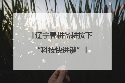 辽宁春耕备耕按下“科技快进键”