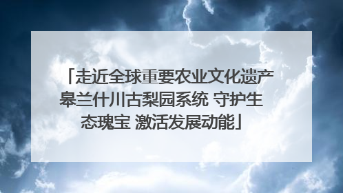 走近全球重要农业文化遗产皋兰什川古梨园系统 守护生态瑰宝 激活发展动能