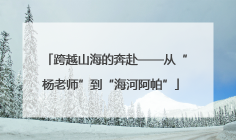 跨越山海的奔赴——从“杨老师”到“海河阿帕”