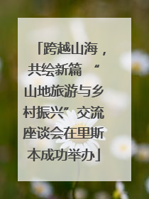 跨越山海，共绘新篇 “山地旅游与乡村振兴”交流座谈会在里斯本成功举办