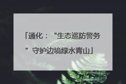 通化：“生态巡防警务”守护边境绿水青山