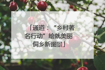 通道：“乡村著名行动”绘就美丽侗乡新图景