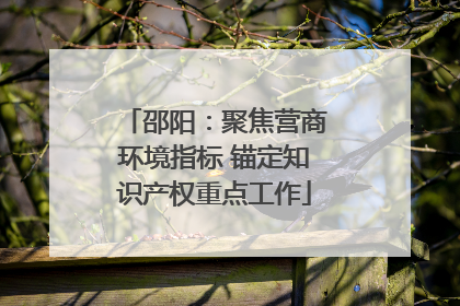 邵阳：聚焦营商环境指标 锚定知识产权重点工作