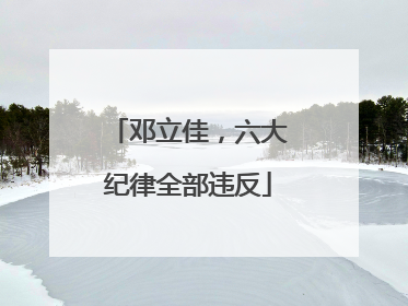 邓立佳，六大纪律全部违反