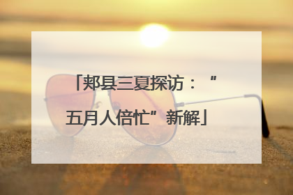 郏县三夏探访：“五月人倍忙”新解