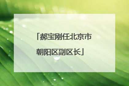 郝宝刚任北京市朝阳区副区长