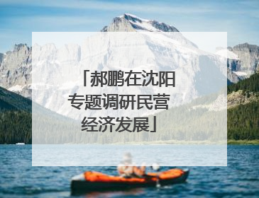郝鹏在沈阳专题调研民营经济发展