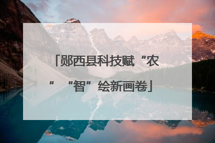 郧西县科技赋“农”“智”绘新画卷