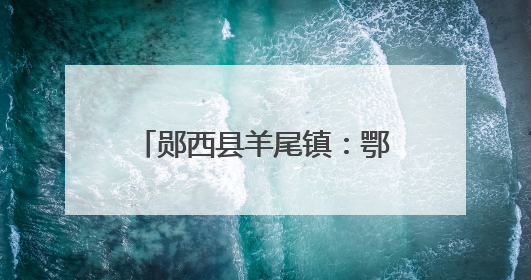 郧西县羊尾镇：鄂陕互联粽香两岸 龙舟逐浪共庆端阳