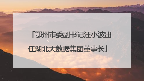 鄂州市委副书记汪小波出任湖北大数据集团董事长