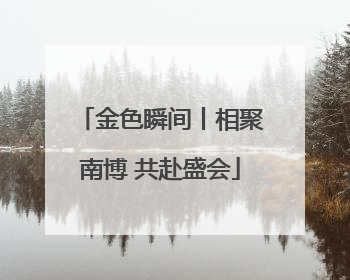 金色瞬间丨相聚南博 共赴盛会