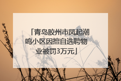 青岛胶州市凤起潮鸣小区因擅自选聘物业被罚3万元