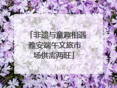 非遗与童趣相遇 雅安端午文旅市场供需两旺