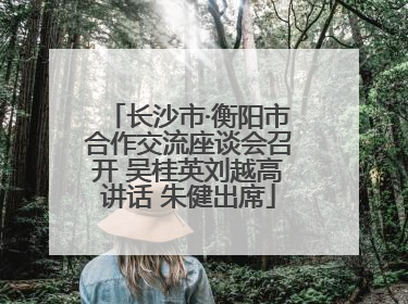 长沙市·衡阳市合作交流座谈会召开 吴桂英刘越高讲话 朱健出席