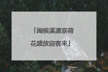 闽侯溪源寨荷花盛放迎客来