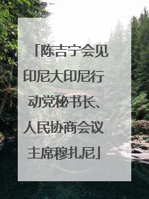 陈吉宁会见印尼大印尼行动党秘书长、人民协商会议主席穆扎尼