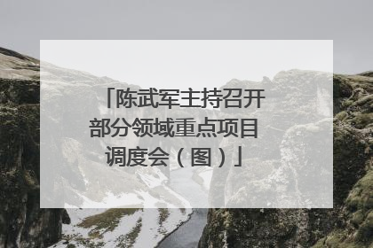陈武军主持召开部分领域重点项目调度会（图）