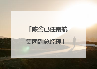 陈詟已任南航集团副总经理