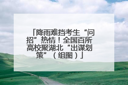 降雨难挡考生“问招”热情！全国百所高校聚湖北“出谋划策”（组图）