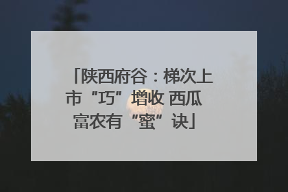 陕西府谷：梯次上市“巧”增收 西瓜富农有“蜜”诀