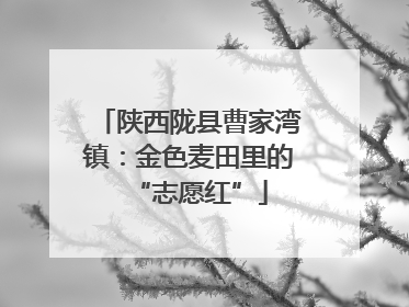 陕西陇县曹家湾镇：金色麦田里的“志愿红”