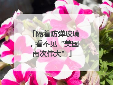 隔着防弹玻璃，看不见“美国再次伟大”