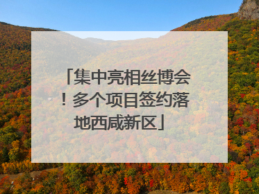集中亮相丝博会！多个项目签约落地西咸新区