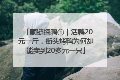 顺链探鸭①｜活鸭20元一斤，街头烤鸭为何却能卖到20多元一只